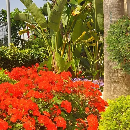 فندق Mirador &